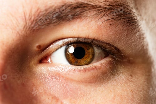 Preview: Man with beautiful brown eye color