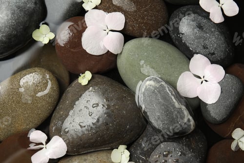 Preview: Stones and flowers in water as background, top view. Zen lifestyle
