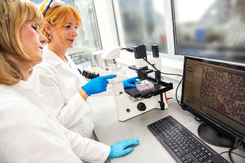 Preview: Photo of three real female scientists researching in laboratory.
