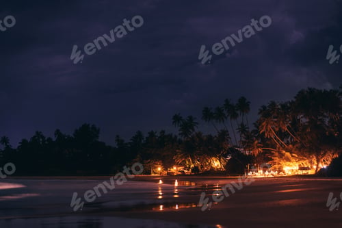 Preview: Nighttime Beach Scene with Illuminated Palm Trees and Reflections