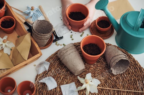 Preview: Little Girl Sowing Seeds Into Flower Pots