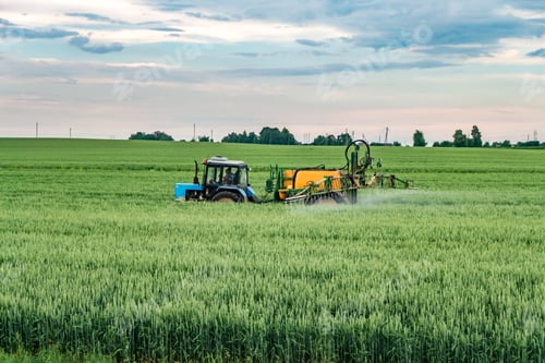 Preview: Farmer spraying wheat field with tractor sprayer at spring season