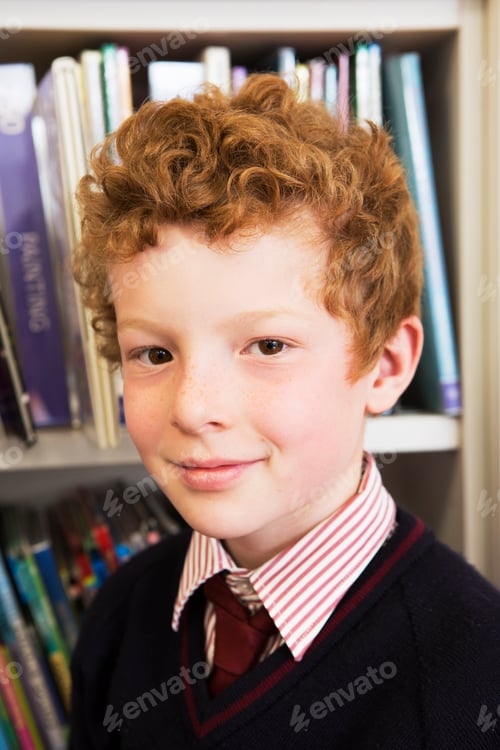 Preview: Portrait of boy in library