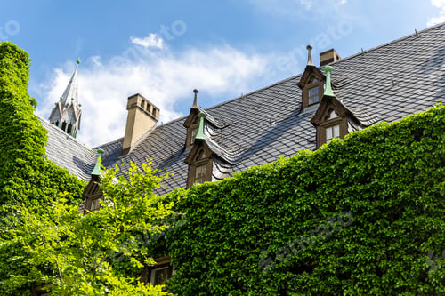 Preview: Magdeburg gothic medieval cathedral Dom church slate tile roof and green fresh Ivy covered old stone