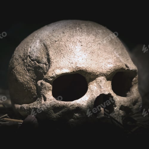 Preview: Scary skull