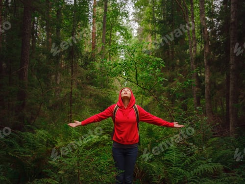 Preview: journey through summer Russia, Leningrad region, Komarovo village, ecotrail Komarovsky coast
