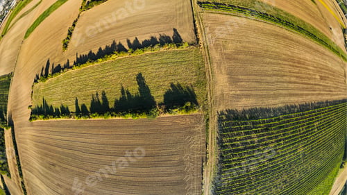 Preview: Fisheye Drone view down on agriculture crop land with wheat fields and Vineyards