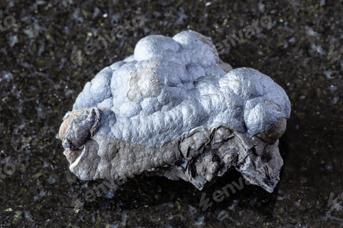 Preview: sample of rough lithiophorite mineral on black