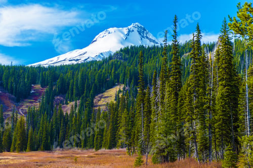 Preview: Mount Hood in Oregon