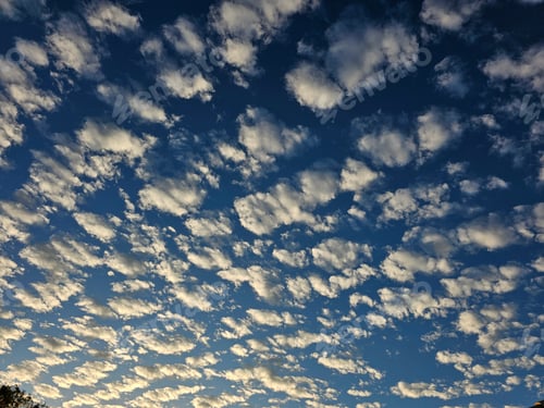 Preview: Large Altocumulus Clouds Stretch Across a Dark Blue Sky!