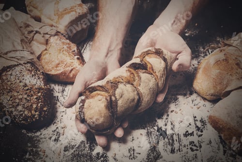 Preview: Bakery concept background. Hands hold bread loaf