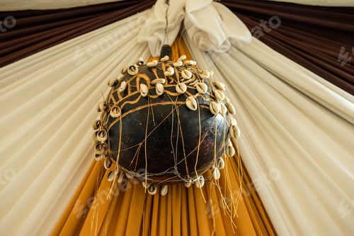 Preview: Calabash Bottle gourd white flowered long melon birdhouse guinea butter bean