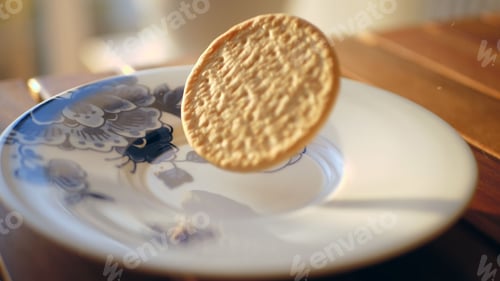 Preview: Cracker falling on porcelain plate