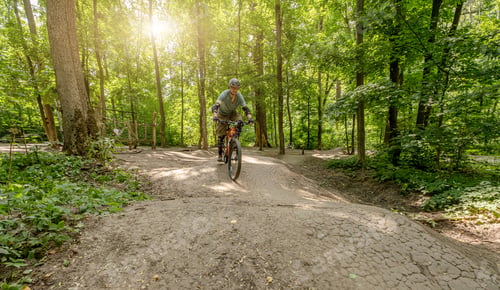 Preview: Man riding bicycle on forest road