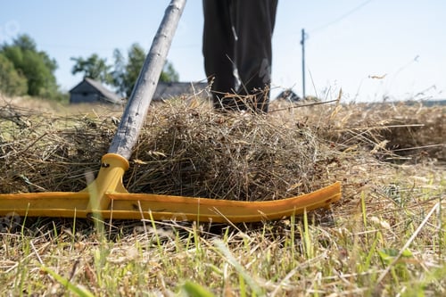 Preview: Rake for harvesting hay, against the background of male legs and a village yard. Rural lifestyle.