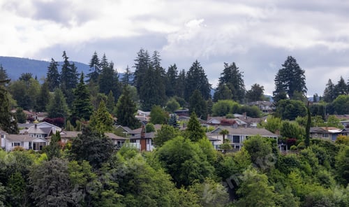 Preview: Homes by the water, surrounded by tees and mountains. Summer Season.