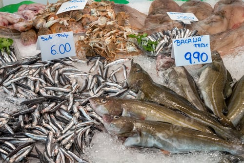 Preview: Sardines, cod fish and seafood for sale