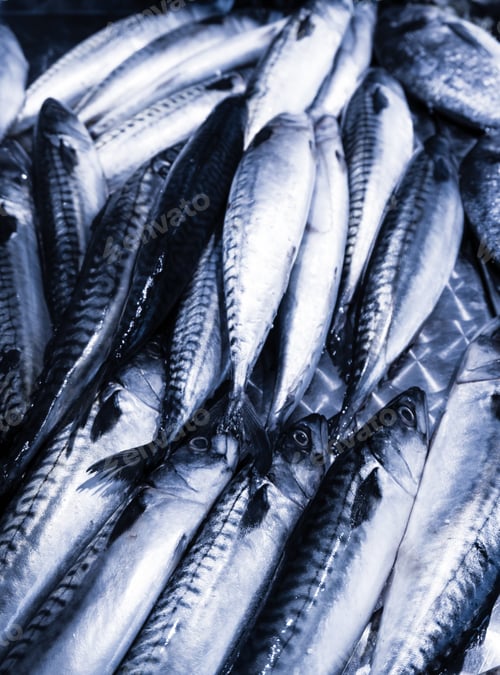 Preview: Fresh seafood. Fresh fish in the market