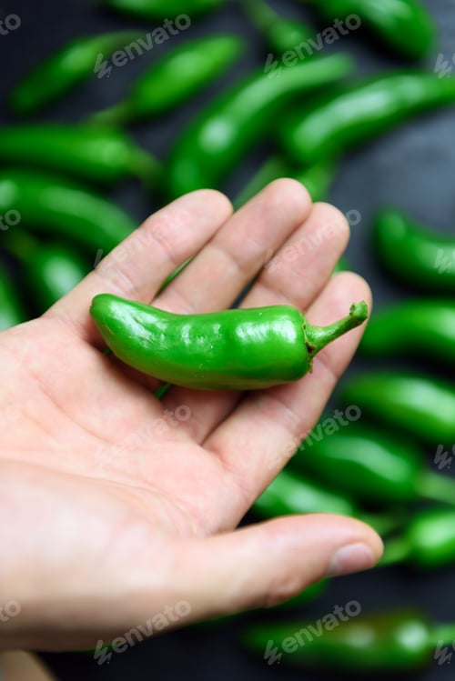 Preview: Green jalapeno hot pepper in hand closeup