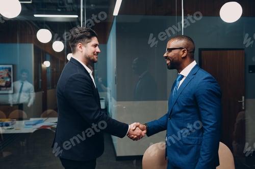 Preview: Businessman and businesswoman handshake team at office meeting. Business people
