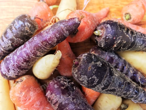 Preview: Autumn food, colorful carrots