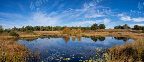 Preview: The Rolvennen lakes in the National Park Meinweg near Roermond