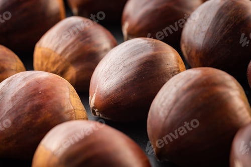 Preview: Rows of chestnuts isolated on black background