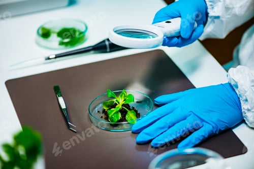 Preview: Biologist Examining Plant Roots