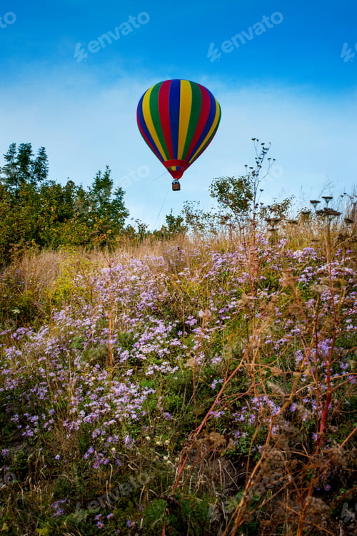 Preview: two balloons in the sky at balloon festival in Bakota bay