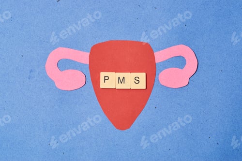 Preview: Woman's uterus in paper art. PMS concept and women's health.