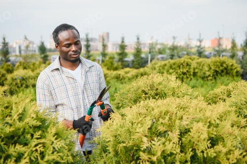 Preview: african american male garden worker works