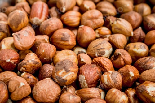 Preview: The texture of the shelled hazelnuts.