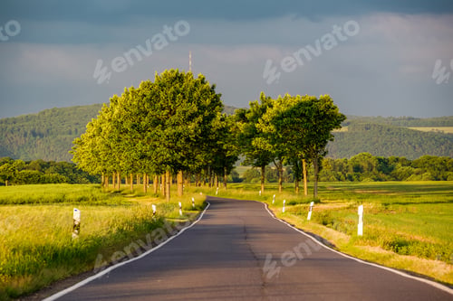 Preview: Rural road between fields in warm sunshine under dramatic sky