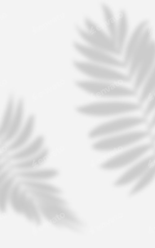 Preview: Abstract white with shadow from a palm tree branch with leaves,
