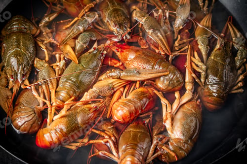 Preview: A bunch of fresh crayfish in a saucepan.
