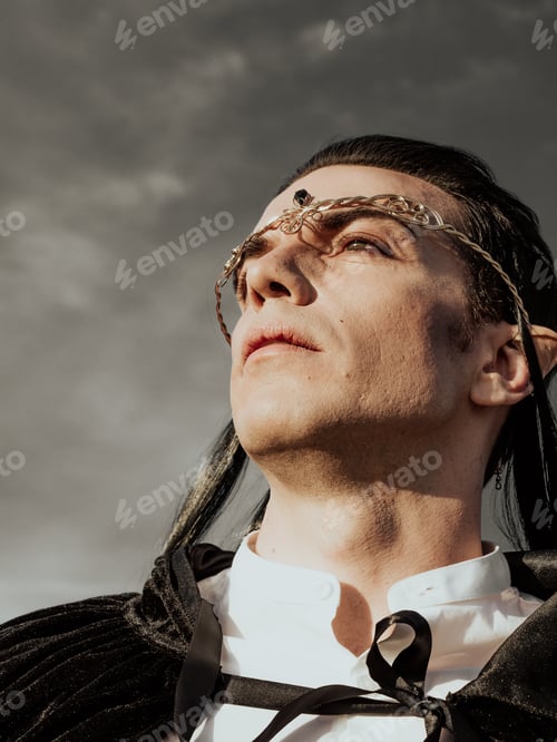 Preview: Brown-haired man with elf ears, tiara on head and black cape, looks forward