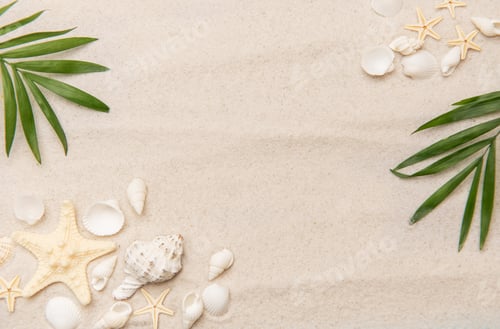 Tropical Beach Background with Starfish and Palm Leaves