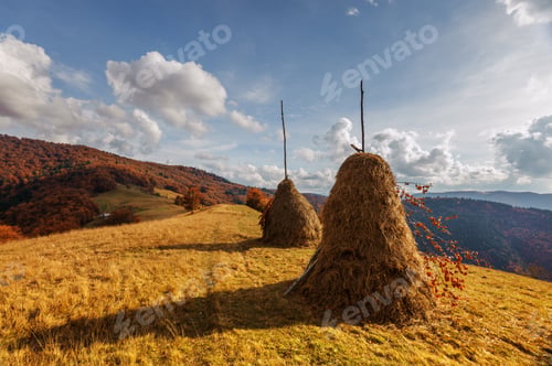 Preview: haystack