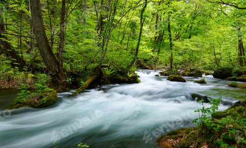 Preview: Magical Places in Japan pictures