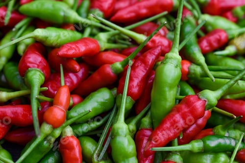 Preview: Selective focus closeup of red and green chili pepper