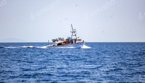 Preview: Fishing boat sail in Aegean sea. Gull swarm follow for food, Cyclades Greece.