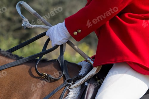 Preview: A Master of Foxhounds in a traditional hunting coat, on horseback.