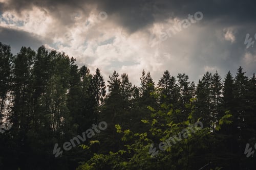 Preview: Woods and the sunset