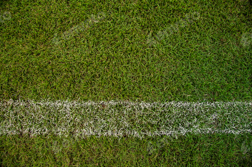Preview: Paddle tennis green hard court texture with white line can used as soccer or badminton background