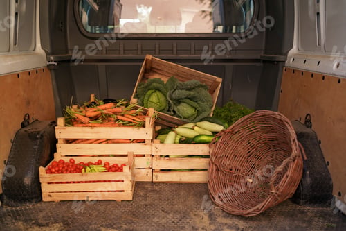 Preview: Organic vegetable delivery concept