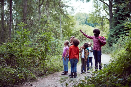 Preview: Adult Team Leaders With Group Of Children At Outdoor Activity Camp Walking Through Woodland