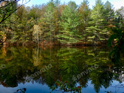 Preview: Reflection
