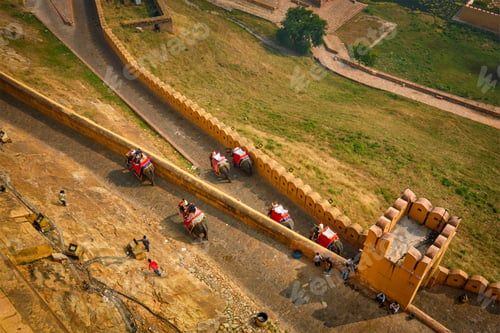 Preview: Tourists riding elephants on ascend to Amer fort
