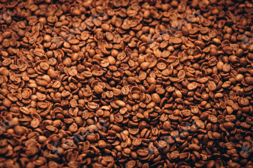 Preview: Roasted Coffee Beans
