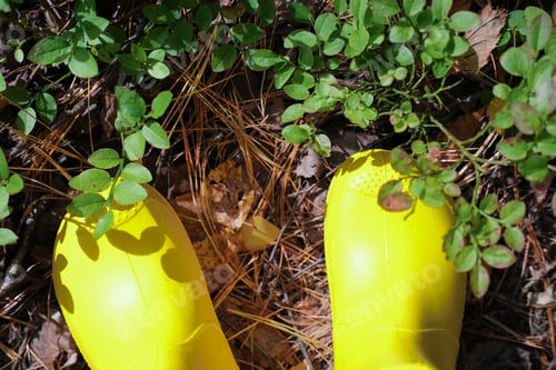 Preview: cropped view of girl's legs in yellow rain boots.